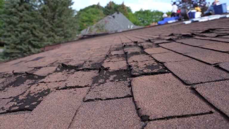 Best Roof Ventilation Installation  in Hoxie, AR